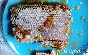 пчелиный мед